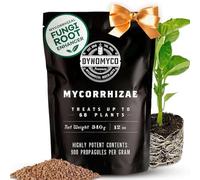 Inoculante de micorrizas DYNOMYCO® - Cepas de alto rendimiento - Fórmula concentrada - Mejora la absorción de nutrientes - Aumenta el rendimiento de las plantas (340 g/Up to 68 Plants)