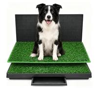 Inodoro para perros, 75 x 50 cm, con 2 césped artificial, protección contra | Inodoro para perros de interior y exterior, balcón con deflector de orina y bandeja de 1,5 l, para perros pequeños y grandes