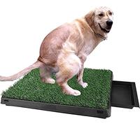 Inodoro para Perros, Inodoro para Perros con césped Artificial, Base de Entrenamiento para Perros, Inodoro con Hierba, para Interior, para Perros pequeños y medianos