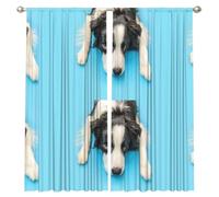 InOmak Divertido Cachorro Border Collie sobre Fondo Azul, Cortinas de Ventana de 2 Paneles, 132 x 213 cm, Opacas, para Sala de Estar y Dormitorio.