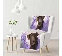InOmak Labrador marrón, Perro cobrador de Lavanda,Manta Suave y cálida de Franela Antibolitas, 76 x 102 cm