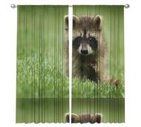 InOmak Lindo Estampado de Mapache a la Moda, Cortinas de Ventana de 2 Paneles, 132 x 213 cm, Opacas, para Sala de Estar y Dormitorio.