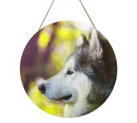 InOmak Malamute de Alaska Bokeh Mascotas Perros Lindos, Cuadro redondo de madera de 30 cm, cuadro para colgar en la pared del hogar.