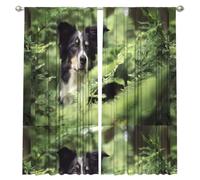 InOmak Perros Border Collie Bokeh Mascotas Blanco y Negro, Cortinas de Ventana de 2 Paneles, 132 x 213 cm, Opacas, para Sala de Estar y Dormitorio.