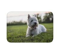 InOmak Perros Westie Lawn West Highland White Terrier,Felpudo con Dobladillo Suave, Alfombrilla de baño, Alfombrilla Antideslizante, Alfombrilla Absorbente para baño, 40 x 60 cm