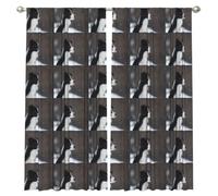InOmak Un Perro Border Collie VIO la Nieve., Cortinas de Ventana de 2 Paneles, 132 x 213 cm, Opacas, para Sala de Estar y Dormitorio.