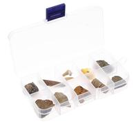 INOOMP 10 piezas Kit Fósiles Paleontológicos de Trilobites y Ámbar Caja de Especímenes para Decoración de Escritorio Ornamento Educativo para Estudiantes y Coleccionistas