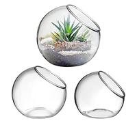 INOOMP 3 piezas de exhibición de terrario para plantas, contenedor de vidrio para plantas, soporte para plantas de aire, suculentas, decoración en forma de globo