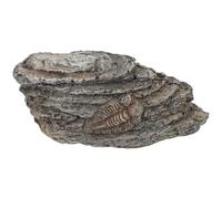 INOOMP Espécimen Delicada de Resina Decorativo de Trilobite para Uso y Colección para Científica Paleontológica