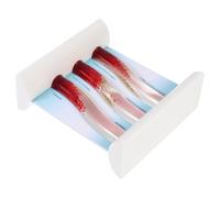 INOOMP Modelo Anatómico Vascular de Plástico para Enseñanza Médica Material Pp y Acrílico, Fácil de Usar para Aula y Consulta Médica, Demostración de Salud y Enfermedad