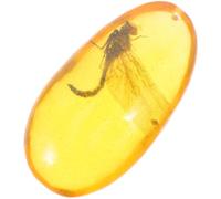 INOOMP Muestra de Insecto en Natural 8x4 Cm, Espécimen de Piedra Libélula, Decoración Científica y Coleccionable para Educación y Exhibición Educativa