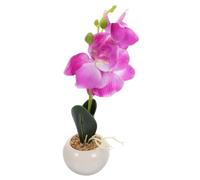 INOOMP Pequeño Bonsái de Orquídea Phalaenopsis Artificial en Maceta