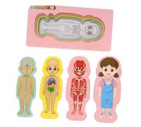 INOOMP Rompecabezas De La Estructura del Cuerpo Humano Rompecabezas para Rompecabezas Cerebrales Modelos De Órganos Juguete Cerebral De Madera para