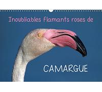 Inoubliables flamants roses de camargue (calendrier mural 2019 din a3 horizontal) - les flamants ros (Calvendo Animaux)