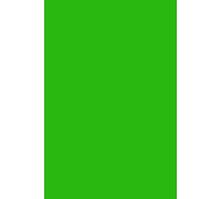 Insanely Green (The Greenest Green) NOTEBOOK - 6x9 inches Ruled Line with 120 Pages