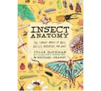 Insect Anatomy: The Curious World of Bees, Beetles, Butterflies, and Bugs