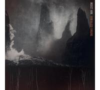 Insect Ark - Raw Blood Singing [Vinilo]