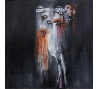 Insect ark - The vanishing [Vinilo]