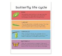 Insect Life Cycle Poster Butterfly Metamorphosis Chart Educational Classroom Decor Science Art for Kids(Framed,12x18inch(30x45cm))