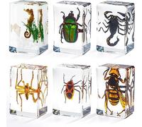 Insecto en resina, colección de insectos, pisapapeles, muestras de animales para niños, insectos reales preservados en resina para juguetes educativos científicos, suministros de exhibición de Navidad