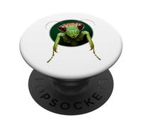 Insecto Mantis religioso Divertido PopSockets PopGrip Adhesivo