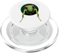 Insecto Mantis religioso Divertido PopSockets PopGrip para MagSafe