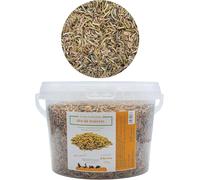 Insectos deshidratados | Mix de gammarus, Gusanos de la harina y camarones de río | Disponible en Bote de 100 g, 200 g y 600 g (Ref. XMI) (200, Gramos)