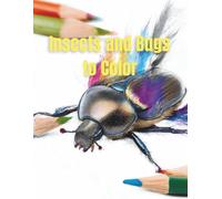 Insects and Bugs to Color: Fun Insects and Bugs Coloring Pages