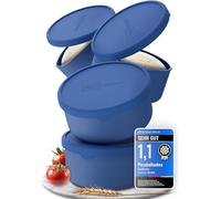 Inselkrone Juego de 4 cajas para pizzas con tapa, perfectas como caja de pizza, caja de fermentación y caja de masa, hasta 350 g de masa para pizza, silicona duradera y antiadherente, ideal como