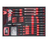 Inserto de destornillador 2, 3/3+.