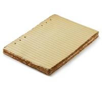 Insertos de planificador vintage A5 de 6 anillas, 22,5 x 16,5 cm, hojas sueltas de 120 g/m², recambio de papel A5 de hojas sueltas compatibles con Filofax, 6 agujeros, 100 hojas, 200 páginas a rayas