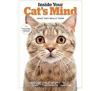 Inside Your Cat's Mind: What They Really Think