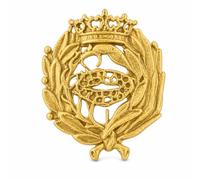Insignia de Biología en Plata de Ley Chapada en Oro, con Caja de Regalo