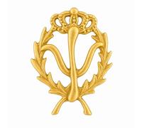 Insignia de Psicología en Plata de Ley 925 Chapada en Oro, con Estuche