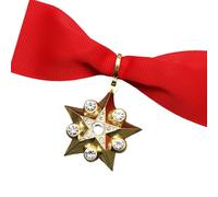 Insignia para colgar en el cuello de estrella del servicio distinguido soviético, versión histórica para coleccionistas y entusiastas, As the pic show, Metal, Sin piedra preciosa