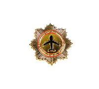 Insignia pilotada de aviación con diseño de capitán de aviación, de metal, aerolíneas, pin de solapa de aviación, cofre de capitán, One Size, como se describe