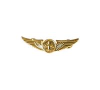 Insignia pilotada de aviación con diseño de capitán y cofre de metal para aerolíneas, insignia de cofre de piloto, aviador, uniforme de aviador, camisa, talla única, como se describe