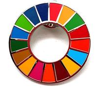 INSIGNIA PIN ODS OBJETIVOS DESARROLLO SOSTENIBLE ONU AGENDA 2030