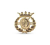 Insignia Profesional de Informática Plata de Ley 925m 18 mm. chapada oro y pin cierre trasero latón