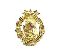 Insignia Profesional Magisterio Escudo Plata 925m Ley 20mm. Pin Chapado Oro Cierre Trasero latón
