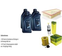 Inspección Set 5L para BMW Aceite Twinpower 5W-30 Mann-Filter 5er F10 F18 X1 E84
