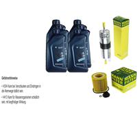 Inspección Set 6 L para BMW Aceite Twinpowerturbo 5W-30 4 Cabrio F33 F83 X1 E84