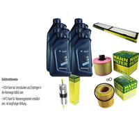 Inspección Set 8 L BMW Aceite TwinPowerTurbo 5W-30 Para 3er 325i 330i