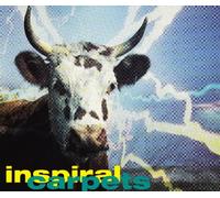 Inspiral Carpets - She comes in the fall