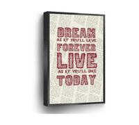 Inspirational Quote Canvas Art Dream As If Youll Live Forever Live As If Youll Die Today Dictionary Page Sign(Unframed,12x18inch(30x45cm))