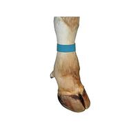 INSPROVET KERBL Pulsera con Cierre de Velcro para Vacuno, 33 x 4 cm, Azul, Pack de 10 Pulseras