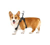 Insta360 GO 3/GO 3S - Soporte de arnés para mascotas, talla M (GO Ultra)