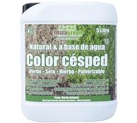 InstaGreen Premium Color cespéd 5 litros - pintura para césped y setos lista para usar - contra el césped amarillo - biodegradable pulverizable naturalmente a base de agua