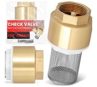 Instalguru Válvula De Retención Latón 1 1/4'' Válvula De Pie Bomba Succión Cesto Inox Filtro Para Bomba Suministro Fontanería Agua Repuestos Instalación