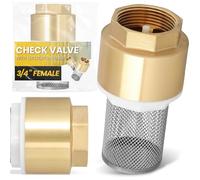 Instalguru Válvula De Retención Latón 3/4'' Válvula De Pie Bomba Succión Cesto Inox Filtro Para Bomba Suministro Fontanería Agua Repuestos Instalación